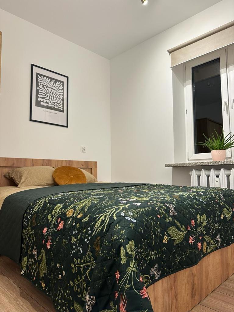 Apartment Zasanie 2